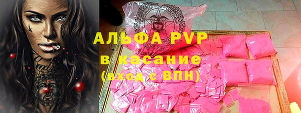 хмурый Верея